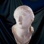 busto femminile