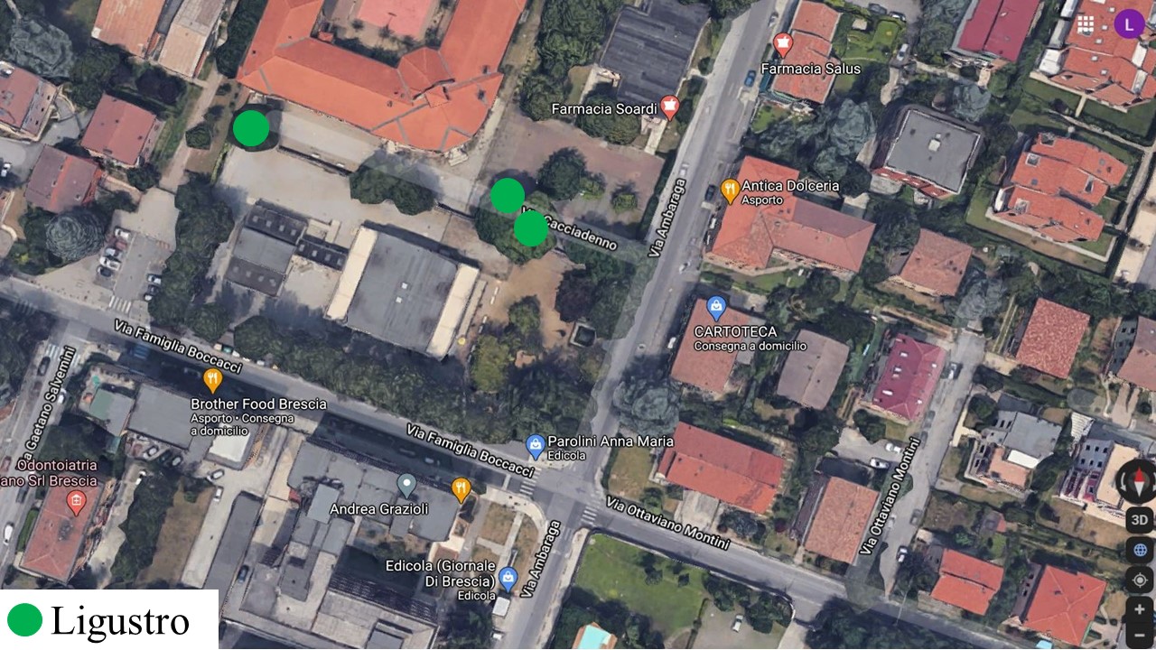 veduta aerea parco della rimembranza Mompiano