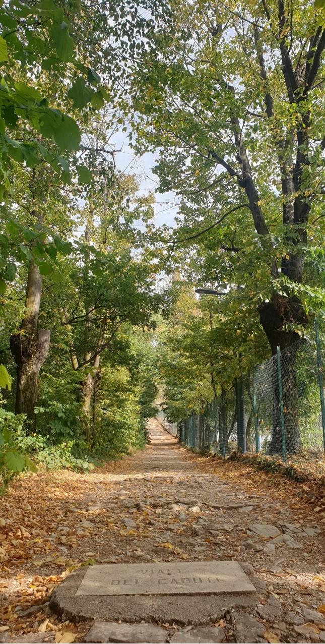 lapide sul sentiero san gottardo