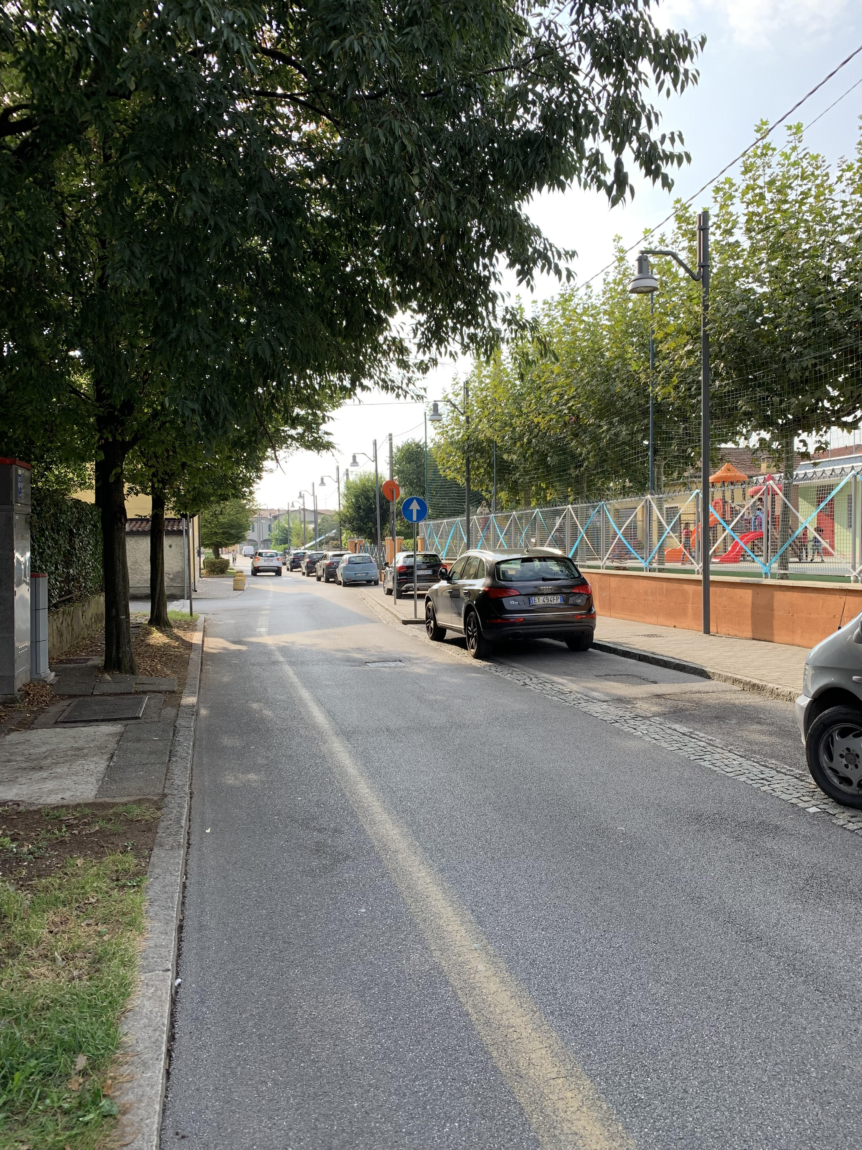 Ex viale della rimembranza di Bagnolo Mella, ora Viale Memoria